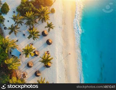Aerial view of umbrellas, palms on the sandy beach of Indian Ocean at sunset. Summer holiday in Zanzibar, Africa. Tropical landscape with palm trees, parasols, white sand, blue water, waves. Top view