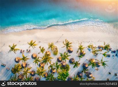 Aerial view of umbrellas, palms on the sandy beach of Indian Ocean at sunset. Summer holiday in Zanzibar, Africa. Tropical landscape with palm trees, parasols, white sand, blue water, waves. Top view