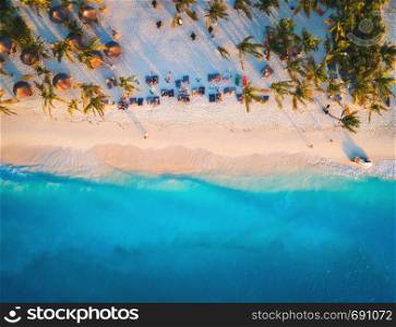 Aerial view of umbrellas, palms on the sandy beach of Indian Ocean at sunset. Summer travel in Zanzibar, Africa. Tropical landscape with palm trees, parasols, people, sand, blue water, waves. Top view