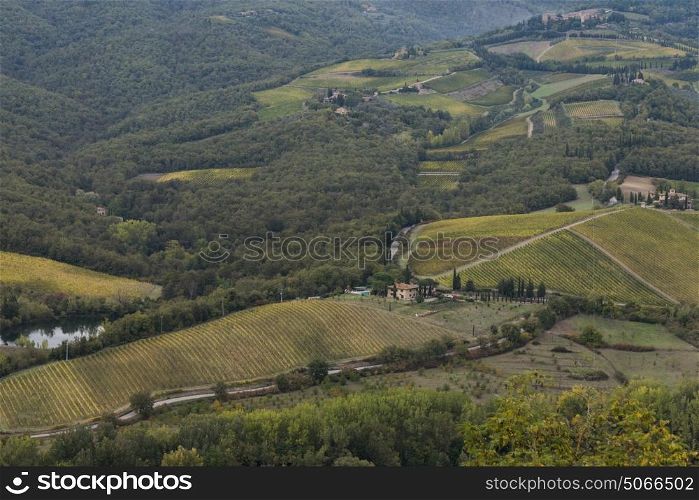 Aerial view of vineyards in valley, Radda in Chianti, Tuscany, Italy