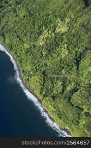 Aerial view of winding road along coastline through lush green forest in Maui, Hawaii.