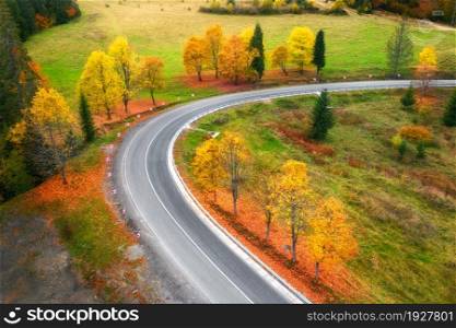 Aerial view of winding road and colorful trees at sunset in autumn. Top view of mountain road in woods. Beautiful landscape with roadway, meadow, green grass, trees with yellow leaves in fall. Travel