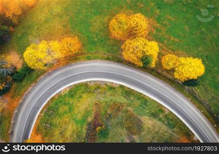 Aerial view of winding road and colorful trees at sunset in autumn. Top view of mountain road in woods. Beautiful landscape with roadway, meadow, green grass, trees with yellow leaves in fall. Travel