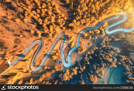Aerial view of winding road in autumn forest at sunset in mountains. Top view of beautiful asphalt roadway and orange trees. Highway through the woodland in fall. Trip in europe. Colorful landscape