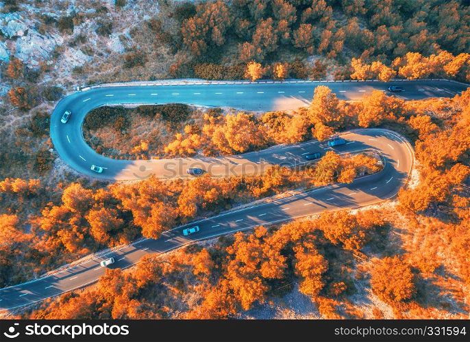 Aerial view of winding road in autumn forest at sunset in mountains. Top view of beautiful asphalt roadway and orange trees. Highway through the woodland in fall. Trip in europe. Colorful landscape
