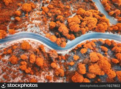 Aerial view of winding road in beautiful red forest at sunset in autumn. Top view of mountain road in woods. Colorful landscape with roadway, trees with red and orange leaves in fall. Travel. Nature