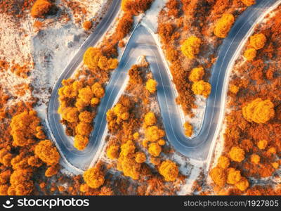 Aerial view of winding road in beautiful red forest at sunset in autumn. Top view of mountain road in woods. Colorful landscape with roadway, trees with red and orange leaves in fall. Travel. Nature