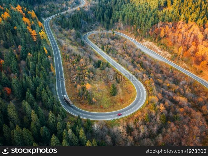 Aerial view of winding road in colorful forest at sunset in autumn. Top view from drone of mountain road in woods. Beautiful landscape with roadway, cars, trees with red and orange leaves in fall