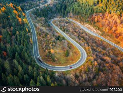 Aerial view of winding road in colorful forest at sunset in autumn. Top view from drone of mountain road in woods. Beautiful landscape with roadway, cars, trees with red and orange leaves in fall