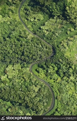 Aerial view of winding road through lush green forest in Maui, Hawaii.