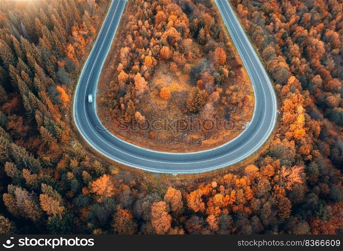 Aerial view of winding road with car in colorful autumn forest at sunset. Top view from drone of mountain road in woods. Beautiful landscape with roadway, trees with orange leaves in fall. Ukraine. Aerial view of winding road with car in colorful autumn forest