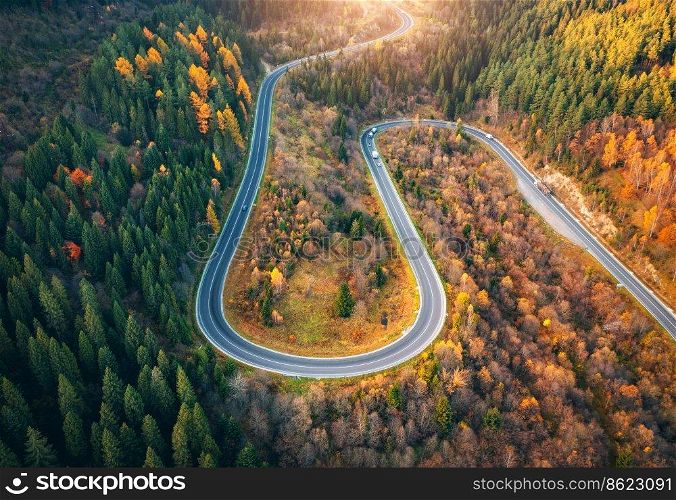 Aerial view of winding road with car in colorful autumn forest at sunset. View from above  of mountain road in woods. Beautiful landscape with roadway, trees with orange leaves in fall in Ukraine