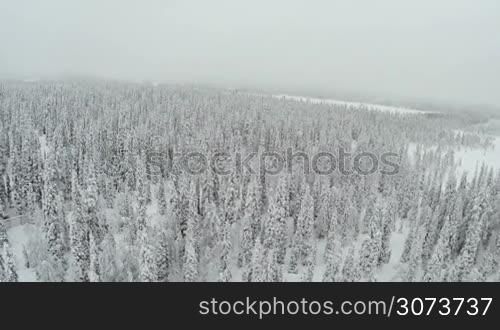 Aerial view of winter forest during frosty cloudy day