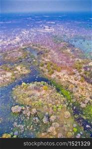 Aerial view, Okavango Delta, Okavango Grassland, UNESCO World Heritage Site, Ramsar Wetland, Botswana, Africa