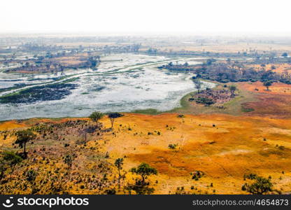 Aerial View on Okavango Delta