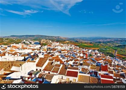Aerial View on the Red Tiles of the Spanish City of Olvera