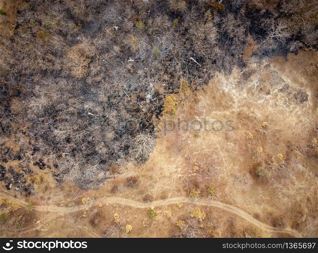 Aerial view, Orange and yellow dry forest, Some parts were destroyed by a forest fire.
