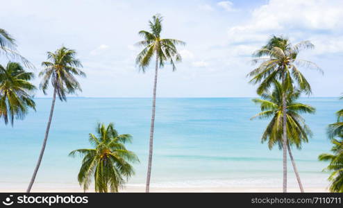 Aerial view palm beach in tropical idyllic paradise island.