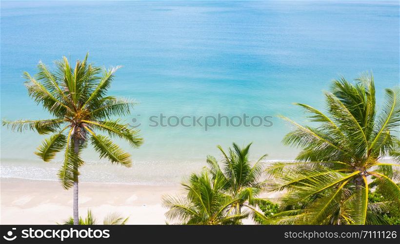 Aerial view palm beach in tropical idyllic paradise island.