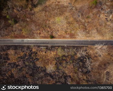 Aerial view, The road passes through a dry orange-yellow forest. Some parts were destroyed by a forest fire.