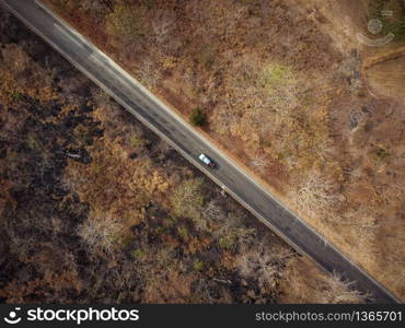 Aerial view, The road passes through a dry orange-yellow forest. Some parts were destroyed by a forest fire.