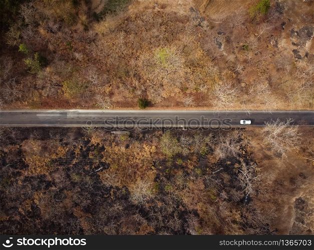 Aerial view, The road passes through a dry orange-yellow forest. Some parts were destroyed by a forest fire.