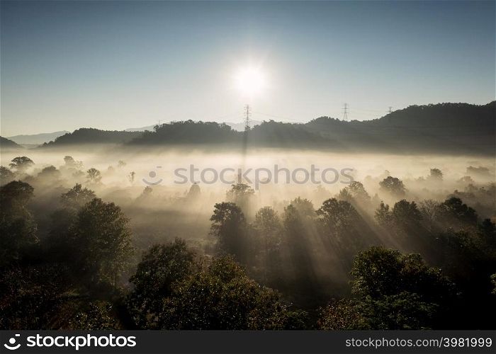 Aerial view Transmission tower in green forest and beautiful morning smooth fog. Energy and environment concept. High voltage power poles. Pang Puai, Mae Moh, Lampang, Thailand.. High voltage power poles in green forest with fog.