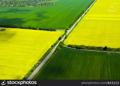 aerial view yellow blooming rapeseed field and wheat field. beautiful landscape