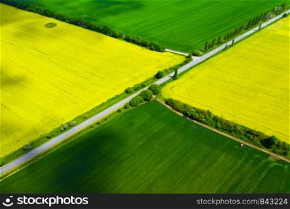 aerial view yellow blooming rapeseed field and wheat field. beautiful landscape