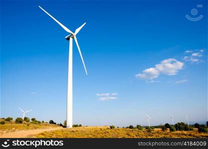 aerogenerator windmill in sunny blue sky day