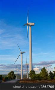 Aerogenerator windmills for green electric energy in pine mountain and blue sky