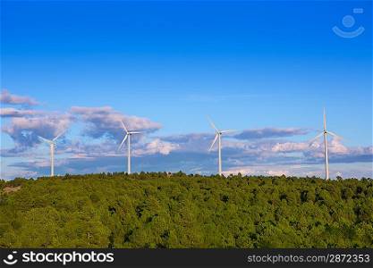 Aerogenerator windmills for green electric energy in pine mountain and blue sky