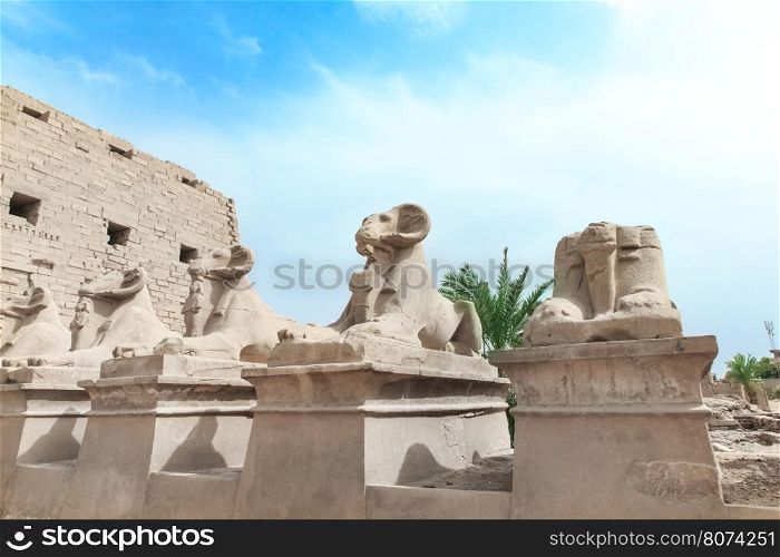 Africa, Egypt, Luxor, Karnak temple