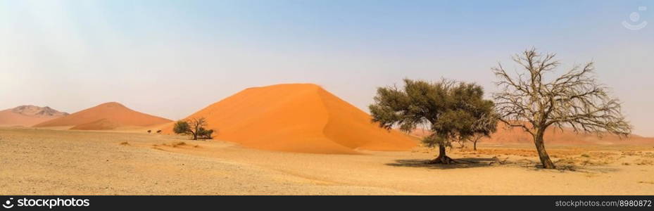 africa namibia landscape