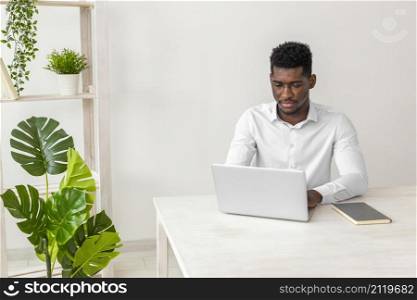 african american man working monstera plant