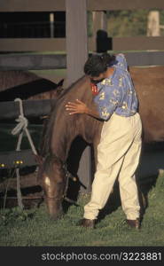 African American Woman Grooming A Horse