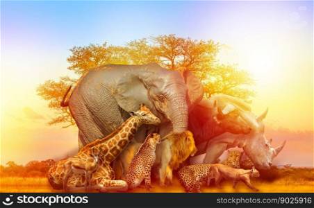African animals collage sunset