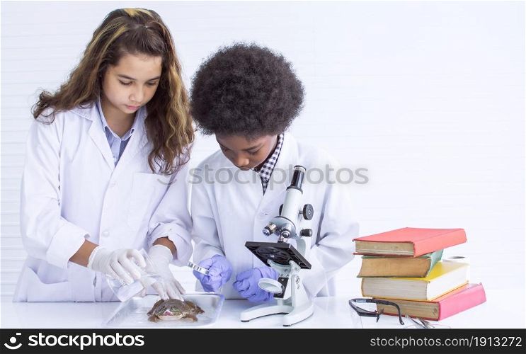 African black boy and caucasian girl studying science and doing operation to a fron in classroom at school. Diversity and Education concept.