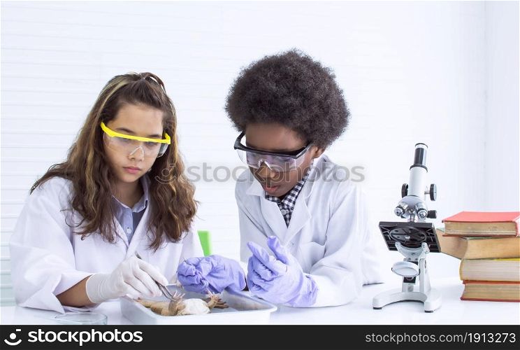 African black boy and caucasian girl studying science and doing operation to a fron in classroom at school. Diversity and Education concept.