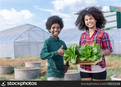 African boy and girl holding wood basket of lettuce vegetable salad to show after harvesting in the front of greenhouse.Various themes: environmental conservation, go green, Earth Day, gardening.