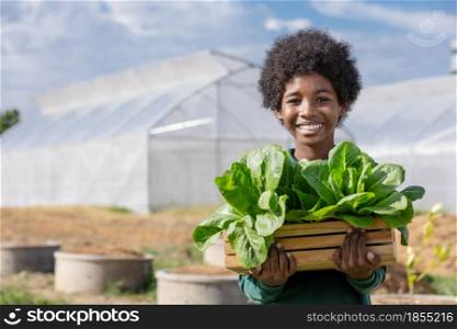 African boy holding wood basket of lettuce vegetable salad to show after harvesting in the front of greenhouse.Various themes: environmental conservation, go green, Earth Day, gardening, organic agriculture.