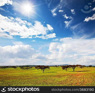 african landscapes