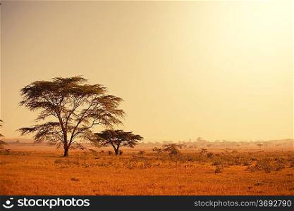 african landscapes