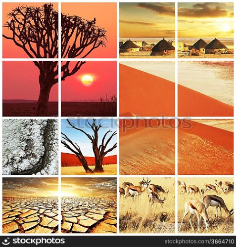 african landscapes collage