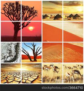 african landscapes collage