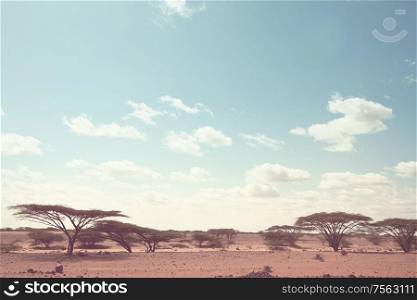 African landscapes -hot yellow bush, trees and blue sky. Conceptual african background.