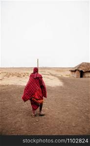 African Masai or Maasai tribe man in red cloth standing alone at his village in empty dusty land on cold foggy day. Ngorongoro Consevation, Serengeti Savanna forest in Tanzania.