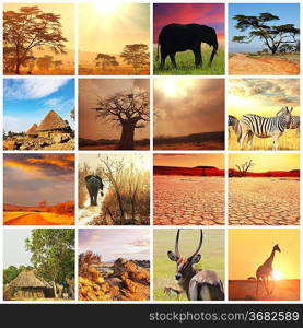 african safari in Etosha,Namibia