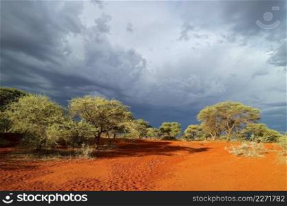 African savannah landscape against a dark sky of an approaching storm, South Africa 