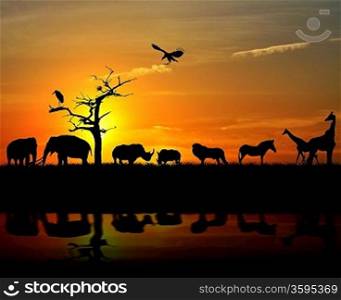 African Wild Animals Silhouettes Against A Sunset
